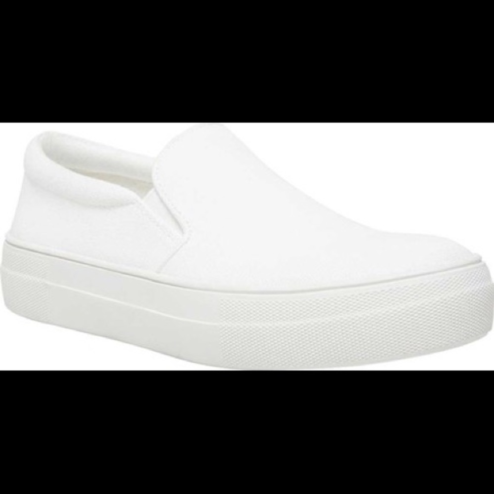 Steve Madden Gills Canvas Sneakers